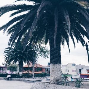 Meet your Posher, Jackie